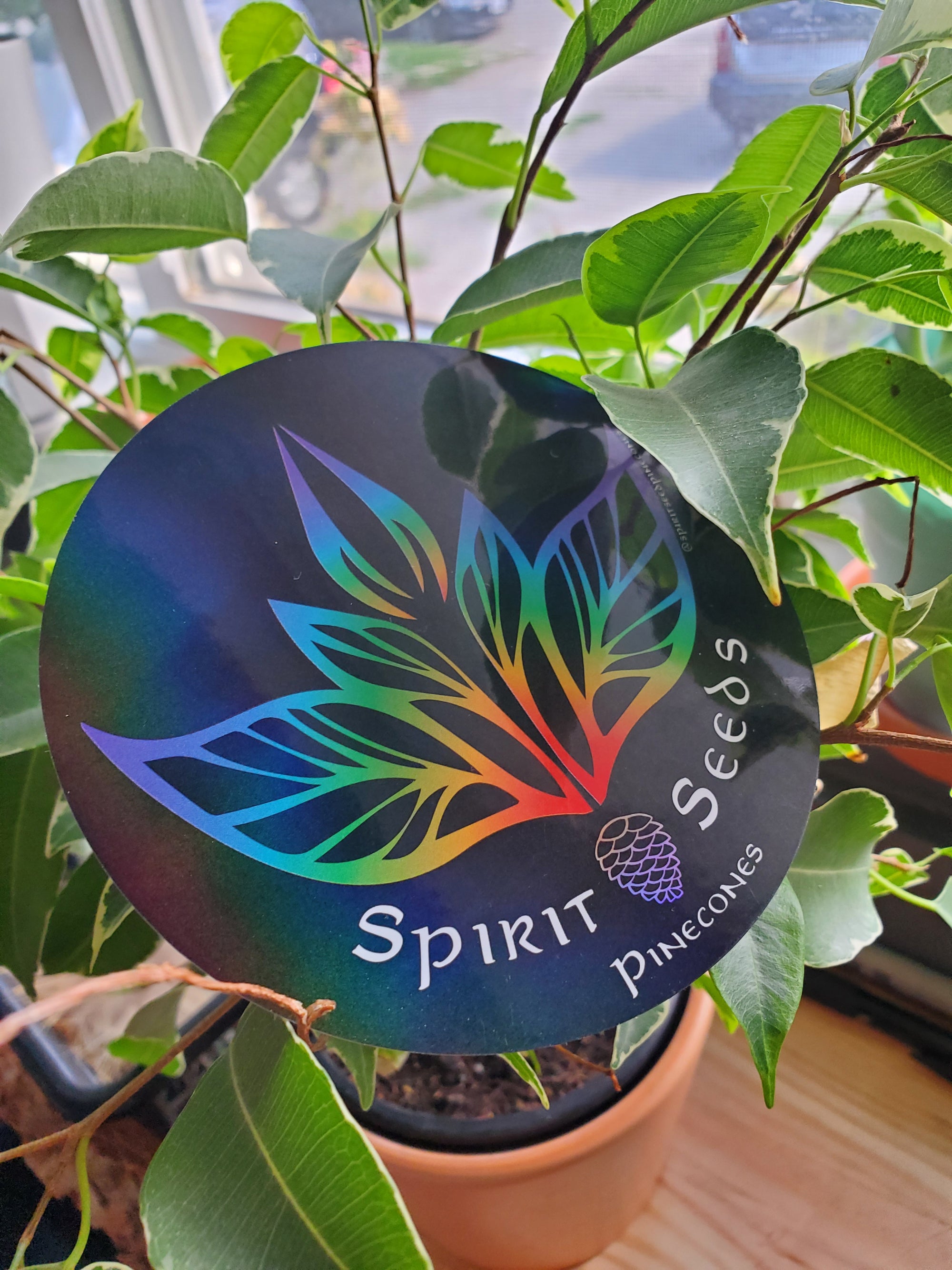 Spirit Seeds Sticker